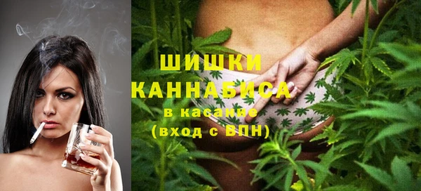 дмт Алзамай