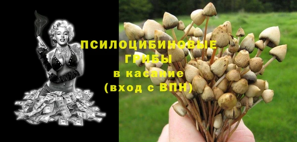 mix Белокуриха
