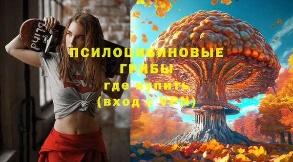 дмт Алзамай