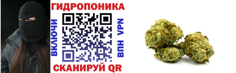 Конопля сатива  что такое   Петропавловск-Камчатский 